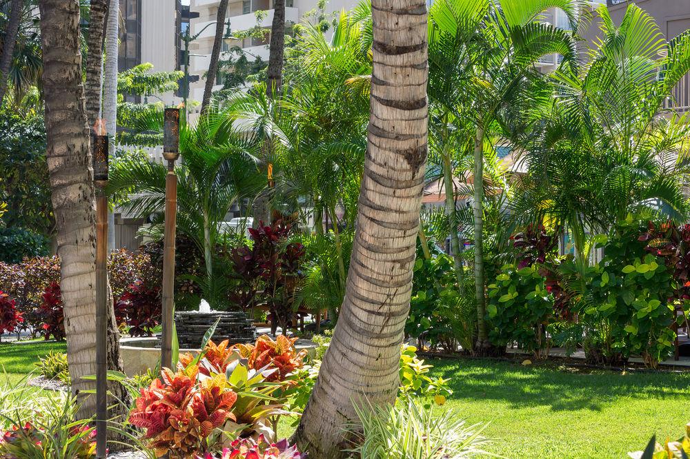Courtyard By Marriott Waikiki Beach Χονολουλού Εξωτερικό φωτογραφία